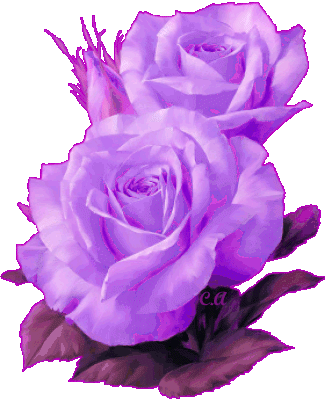 fleur